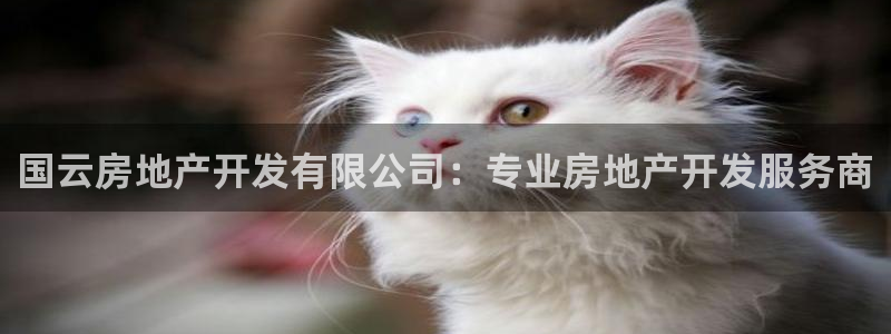 万向娱乐注册登录不了