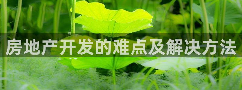 万向娱乐平台注册流程视频