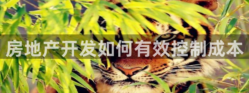 万向娱乐挂机