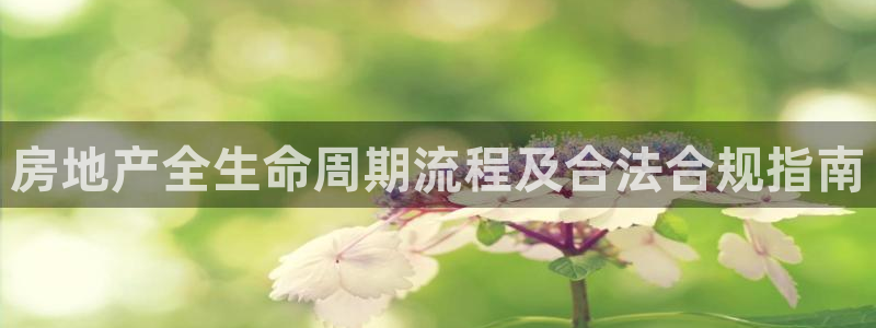 万向娱乐平台代理怎么样啊