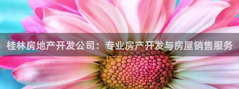 万向娱乐注册登录不上怎么回事