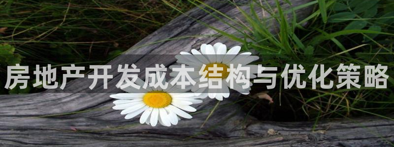 万向娱乐注册资金多少