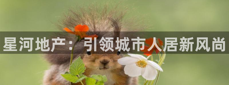 万向娱乐平台注册流程图