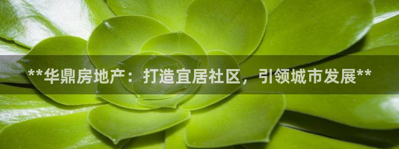 万向娱乐注册开户要多久