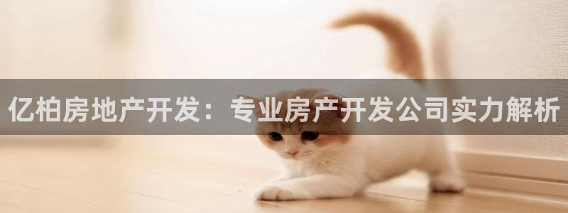 万向娱乐下载安装