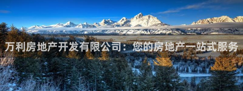 万向娱乐是野鸡台吗