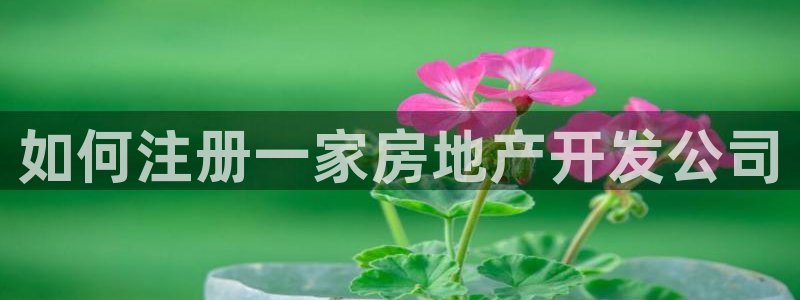 万向娱乐登陆官网入口