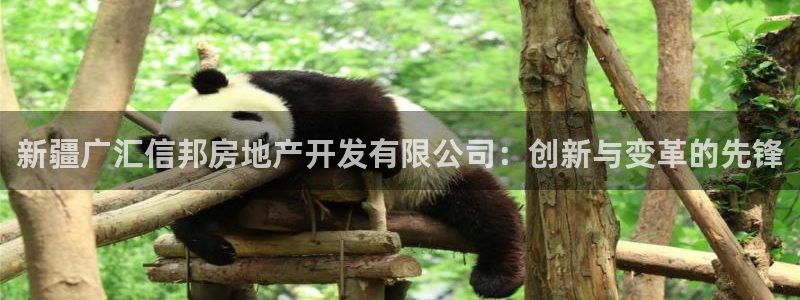 万向娱乐官网网址是多少