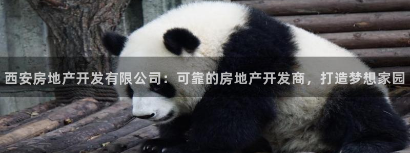 万向娱乐平台代理怎么样可靠吗