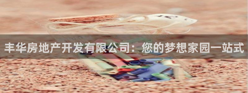 万向娱乐网址是什么