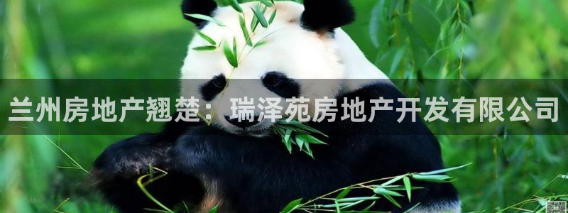 万向娱乐注册资金多少合适
